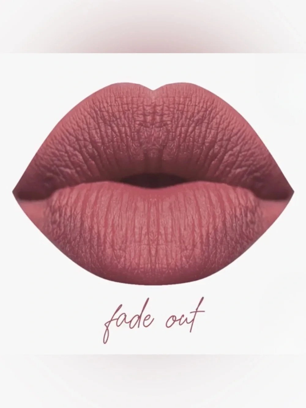 NIB Karity The Mattes Liquid Lipstick - Fade Out